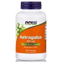 Astragalus 500 mg 100 κάψουλες - Now / Φυτικά Συμπληρώματα