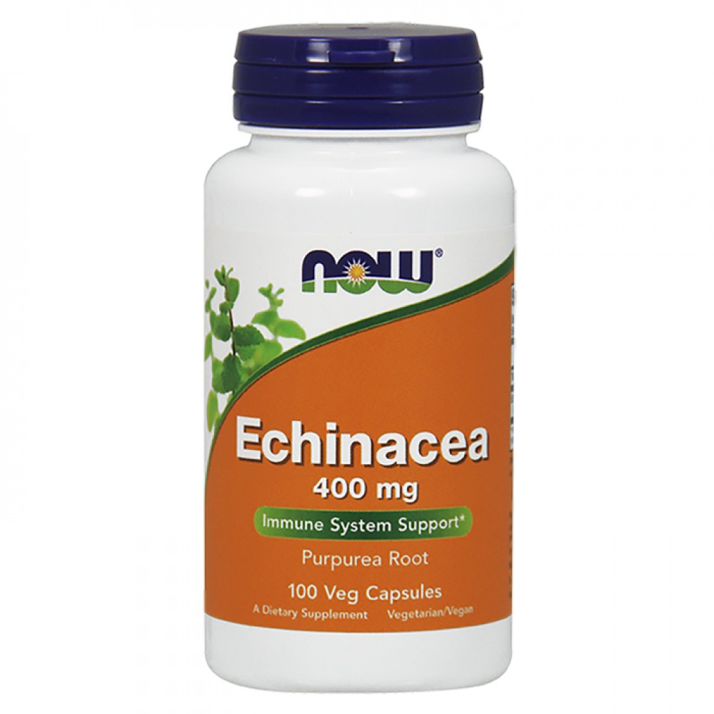 Echinacea 400mg - 100caps NOW Foods / Εχινάκεια - Κρυολόγημα
