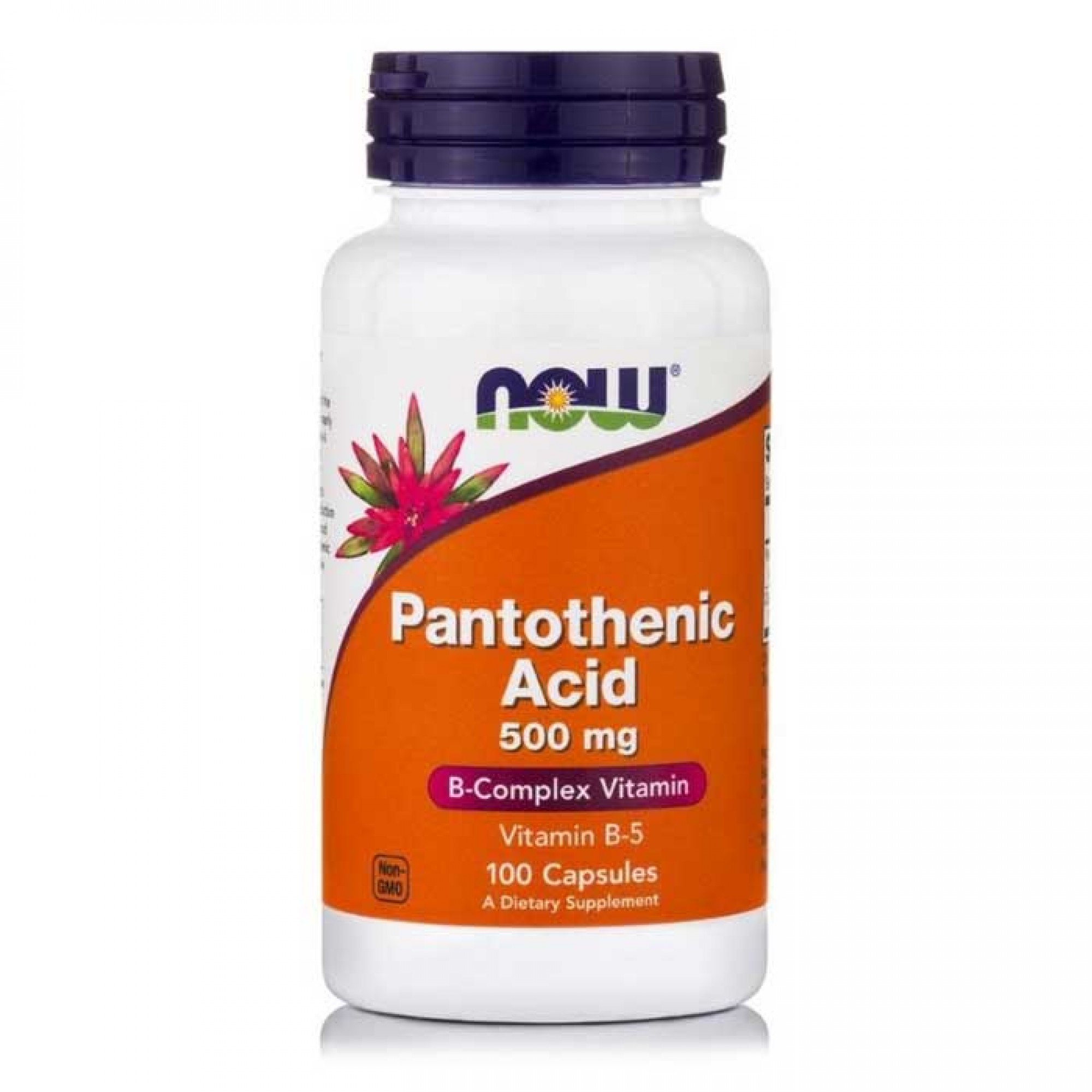 Pantothenic Acid 500mg 100 κάψουλες Now / Βιταμίνη Β5