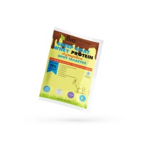Αιγοπρόβεια Ελληνική Πρωτεΐνη Ορού Γάλακτος 82% 25g - Βιολόγος / banana cocoa