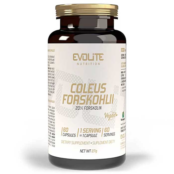 Coleus Forskohlii 60 caps - Evolite
