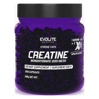 Creatine Monohydrate Xtreme 300 caps - Evolite