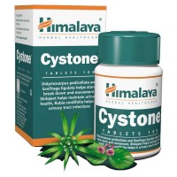 Cystone 100 tabs - Himalaya / Ουροποιητικό