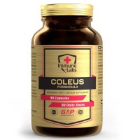 Coleus Forskohlii 90 caps - Immune-Labs