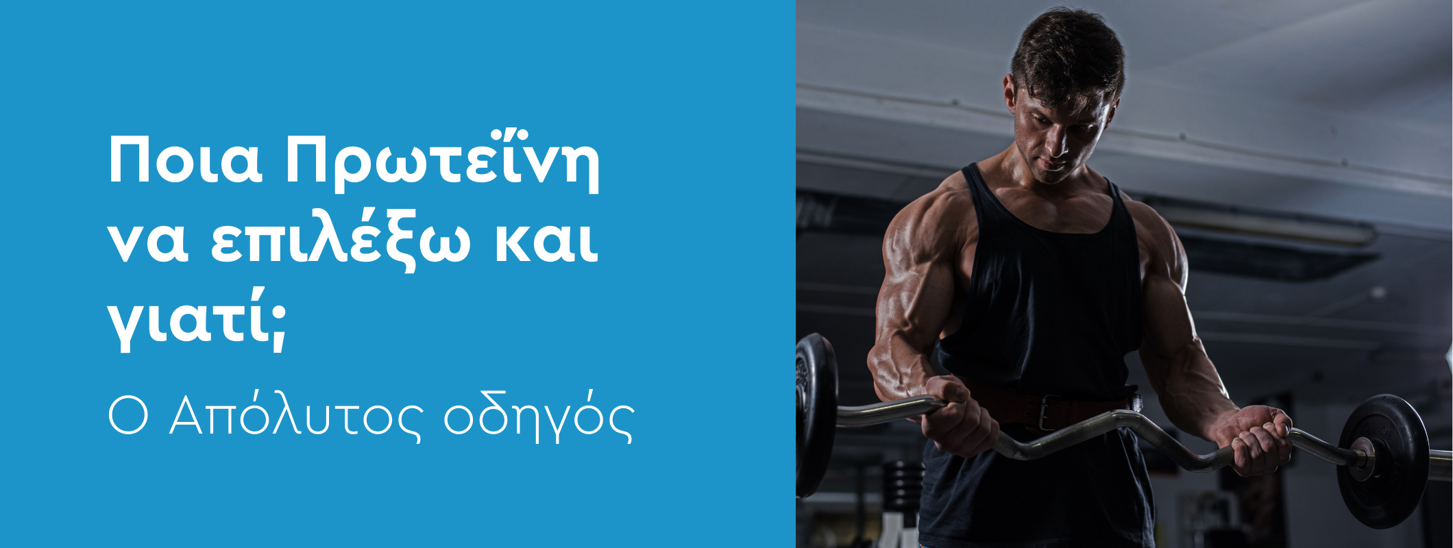 Ποια Πρωτεΐνη Να Επιλέξω και Γιατί; Ο Απόλυτος Οδηγός