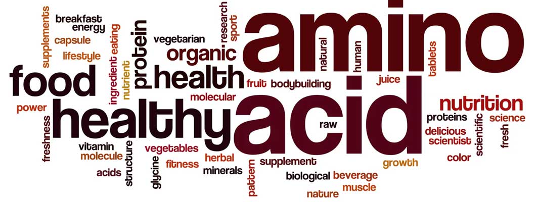 Αμινοξέα: είδη και τα οφέλη για την υγεία